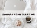 慈利昆虫网站高清照片素材（昆虫图片下载）