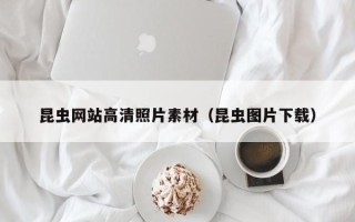 慈利昆虫网站高清照片素材（昆虫图片下载）